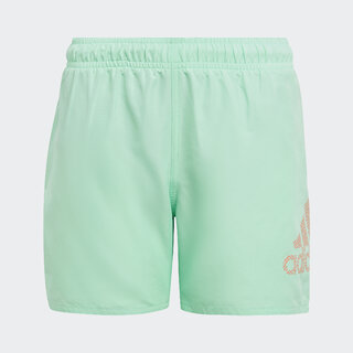 BOS CLX SL Swimming Shorts